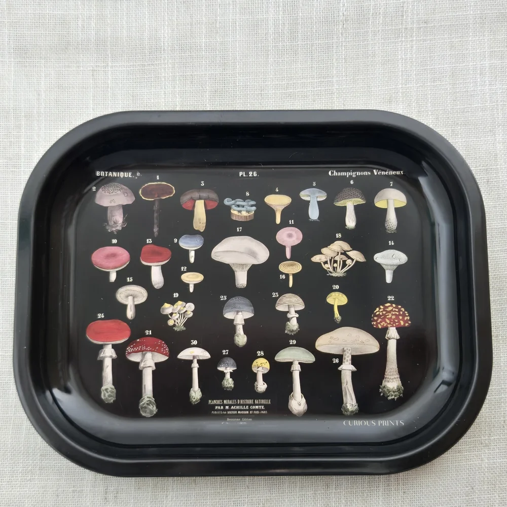 Curious Prints Metal Tray Vintage Scientific Mushroom Design - 5 x 7"- Like New - Picture 1 of 4